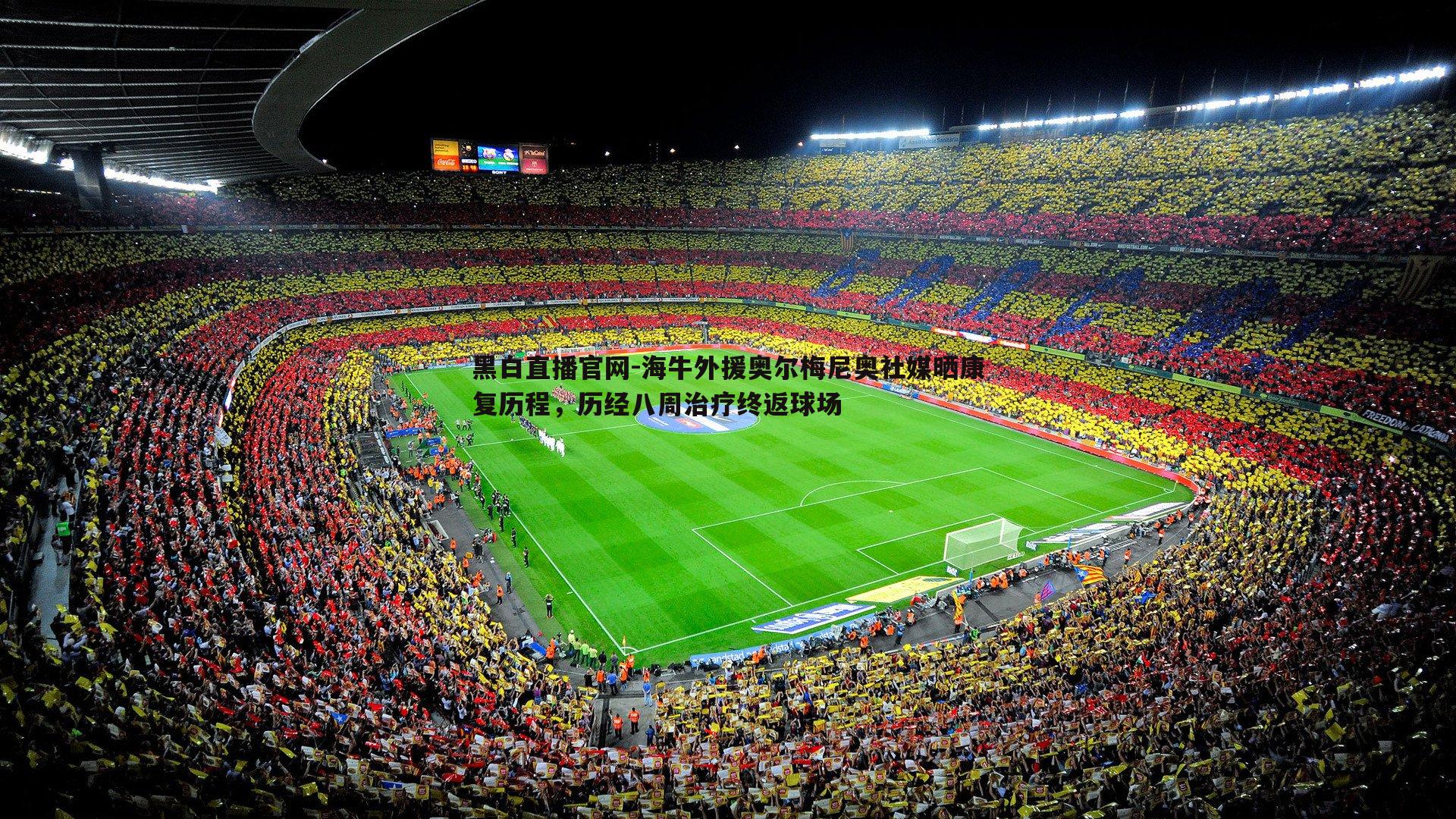 黑白直播官网-海牛外援奥尔梅尼奥社媒晒康复历程，历经八周治疗终返球场