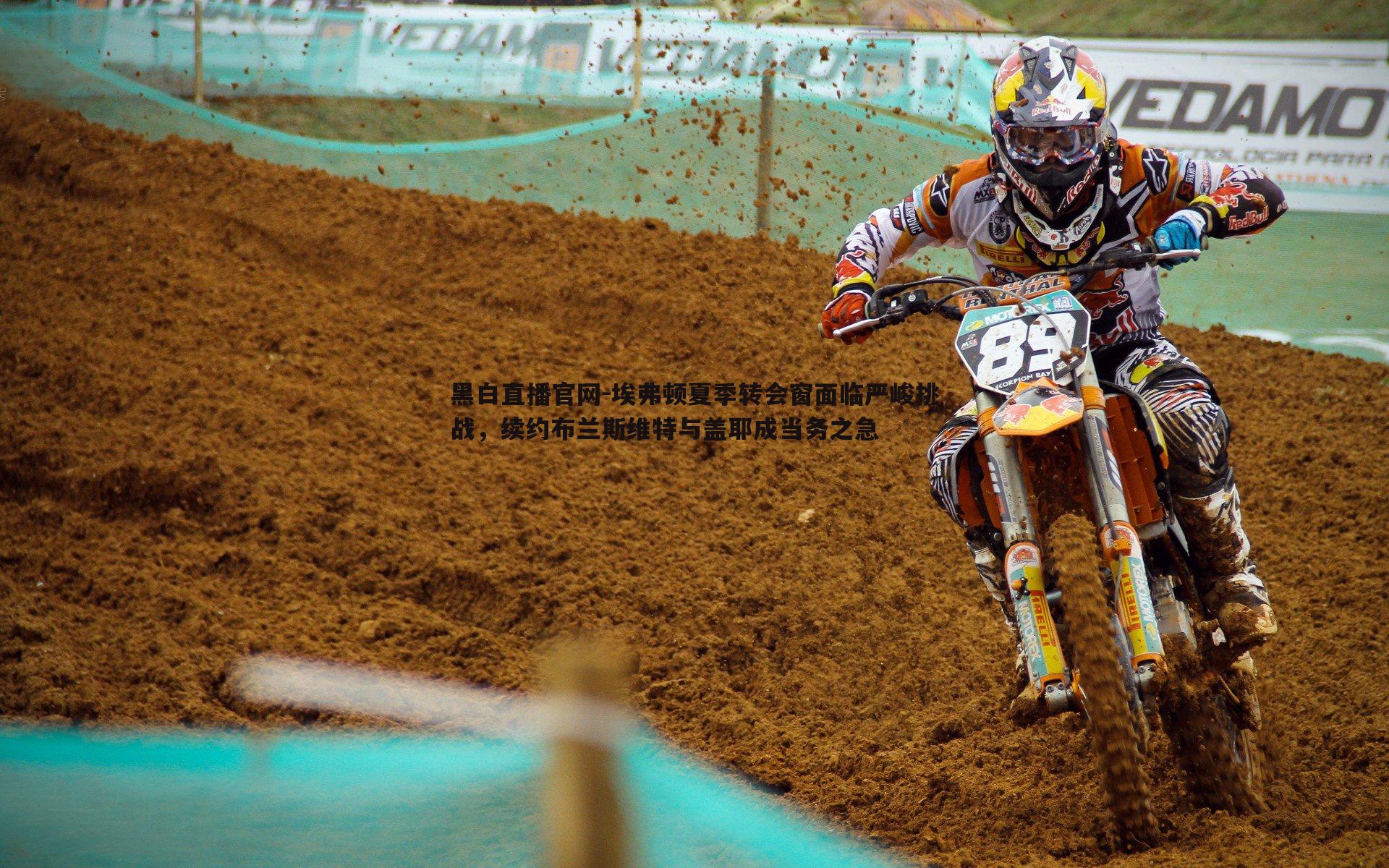 埃弗顿夏季转会窗面临严峻挑战,续约布兰斯维特与盖耶成当务之急