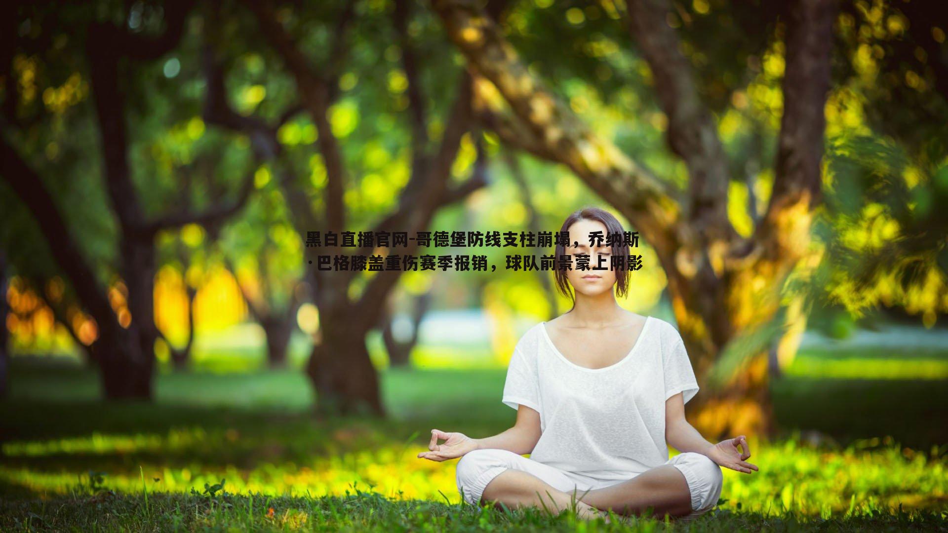 哥德堡防线支柱崩塌,乔纳斯·巴格膝盖重伤赛季报销,球队前景蒙上阴影